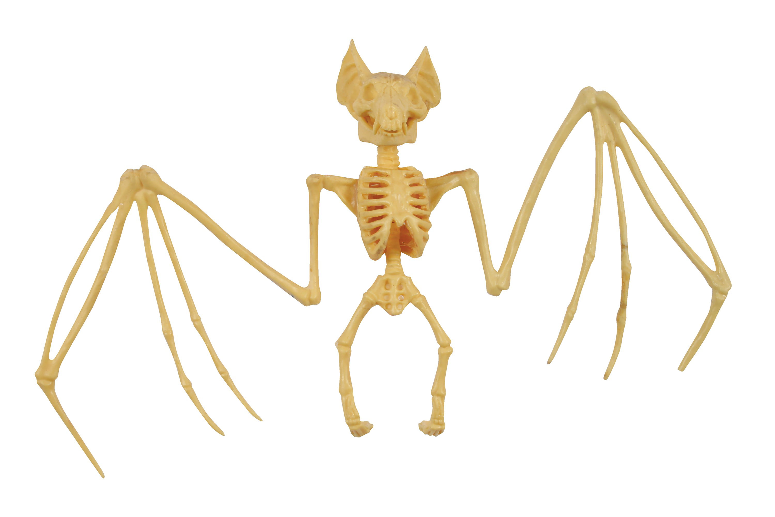 Bat Skeleton Prop Decoration Halloween Fancy Dress Accessory 