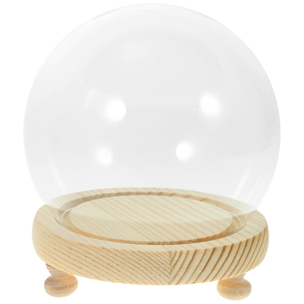 Vitrina Transparente con Base de Madera Campana de Vidrio con Flor Eterna