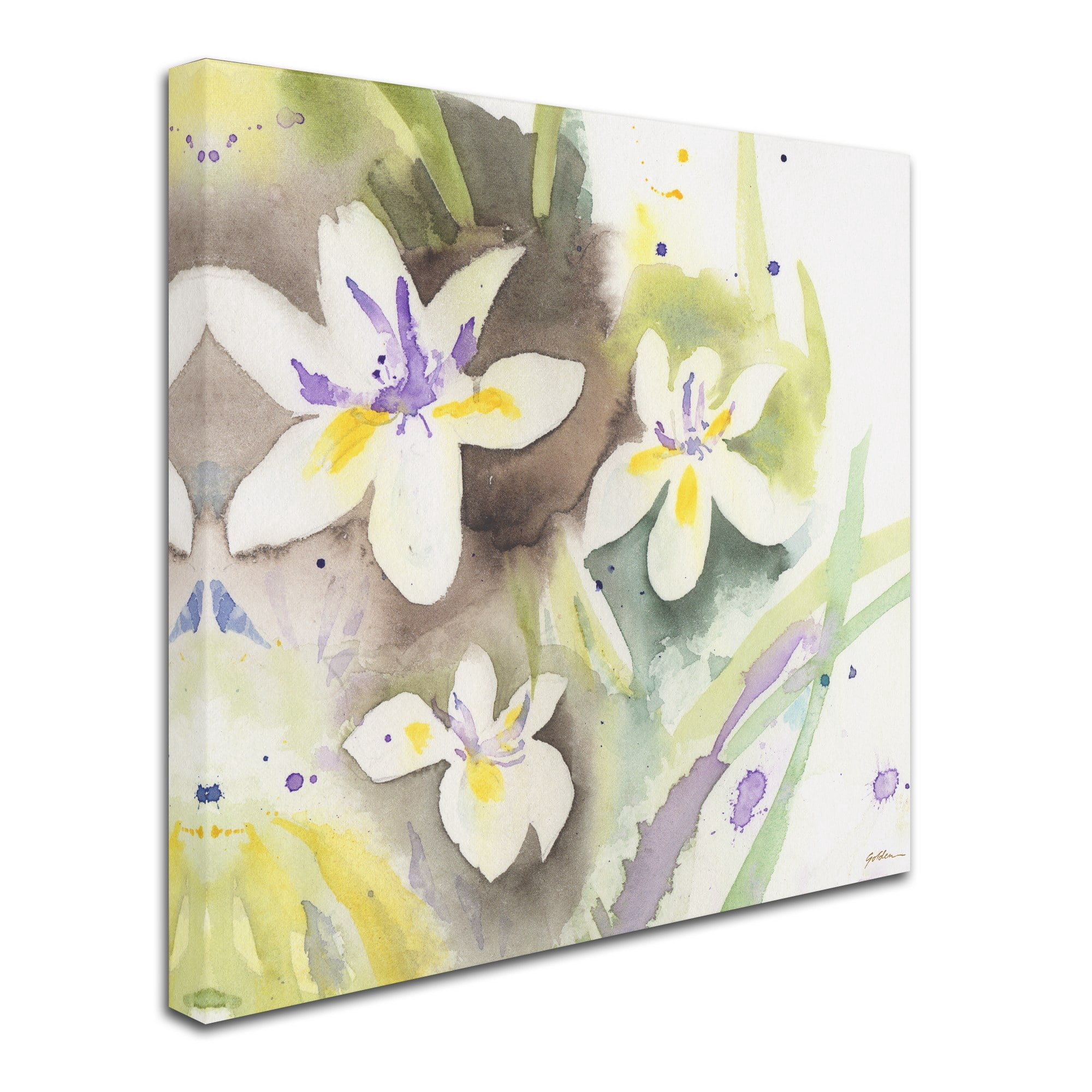 Trademark Fine Art "White Iris" Canvas Art by Sheila Golden