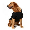 thumbnail image 6 of New Pet Outdoor Vest Clothes Large And Small Dog Sweaters Pet Sweaters Dog Clothes Pet Clothes Clothes, 6 of 8