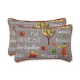 thumbnail image 1 of Pillow Perfect 631349 Récolte d'Automne Botte de Foin Coussin Lombaire Décoratif Intérieur et Extérieur&44; Multicolore - Lot de 2, 1 of 1