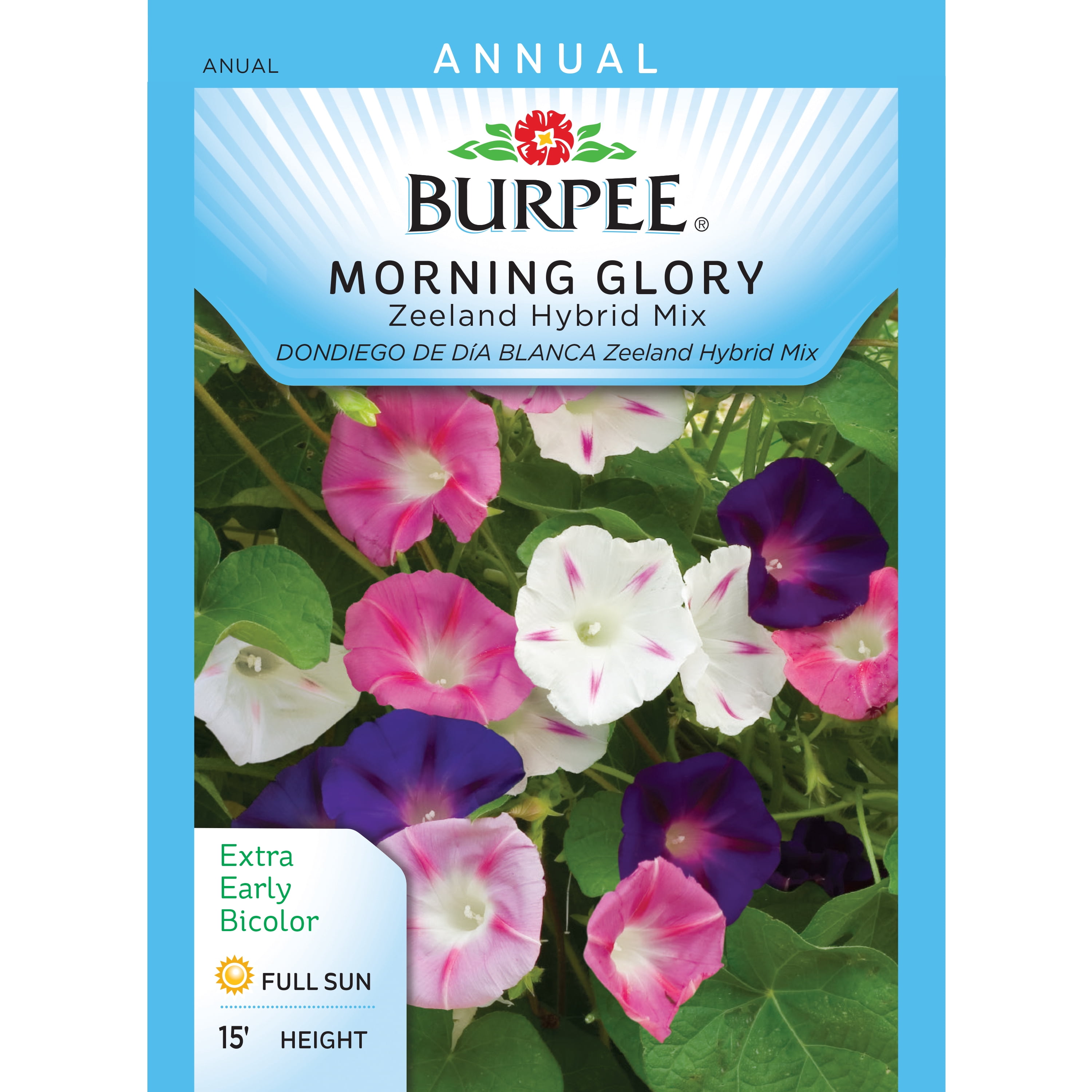 Burpee Morning Glory Zeeland Hybrid Mix Seed Packet Walmart Com Walmart Com