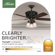 Hunter 54 inch Indoor Ceiling Fan with LED Lights and Remote Control - Standard Mount Bronze Ceiling Fan, 5 Blades, For Bedroom, Living Room, or Kitchen, Quiet - Promenade 59546, Brittany Bronze