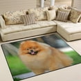 thumbnail image 2 of Coolnut Pomeranian Smile Lightweight Carpet Mats, 6'8" x 4'10" Area Soft Rugs Floor Mat Rug Home Decoration for Kids Room Living Room, 80"x 58", 2 of 6