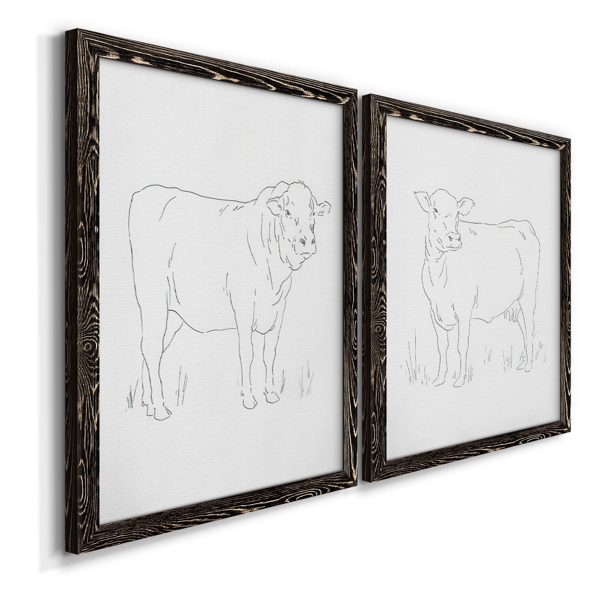 Limousin Cattle I - Premium Framed Canvas 2 Piece Set - Ready to Hang