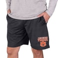 thumbnail image 2 of Men's Concepts Sport Charcoal Miami Dolphins Bullseye Knit Jam Shorts, 2 of 2