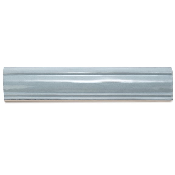 The Tile Life Waverly Ocean Polished Ceramic Chair Rail Tile, 3 x 12 in, 1-Piece