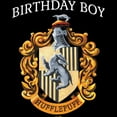thumbnail image 2 of Boy's Harry Potter Hufflepuff Birthday Boy  Graphic Tee Black X Large, 2 of 5