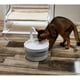 thumbnail image 4 of Dispensador de agua para mascotas Dispensador de agua para gatos Dispensador de agua para mascotas Dispensador de agua circulante automático para gatos, 4 of 5
