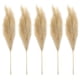 thumbnail image 1 of Ramas secas de césped artificial de 50 cm, tallos de junco artificial, flor de junco para jarrón marrón claro, 1 of 8