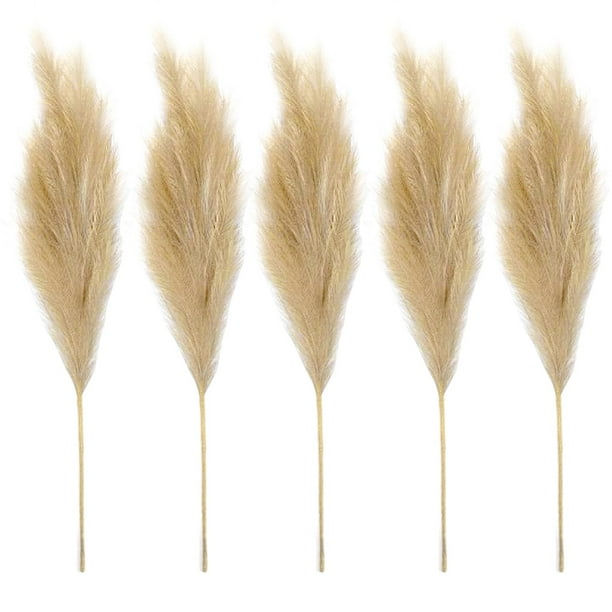 Hierba de pampa artificial de imitación, 70 cm, 5 tallos, arreglo pomposo para marrón claro