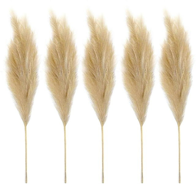 Hierba de pampa artificial de imitación, 70 cm, 5 tallos, arreglo pomposo para marrón claro