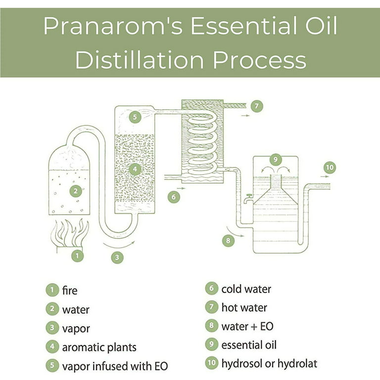  Pranarom Good Samaritan Organic Essential Oil Blend