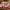 01 Poinsettia, variant on Red Christmas Table Cloth Rectangle 60" x 102" (8-10 Seats)- Washable Polyester Poinsettia Print Decoration Tablecloth for Kitchen Dinning, Holiday Dinner