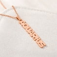 thumbnail image 3 of Stainless Steel Rose Gold Plated Vertical Zodiac, Astrology, Horoscope, Constellation Pendant Mens Womens Necklace, Free Micro Fiber Cloth, Giorgio Bergamo Aquarius, 3 of 6