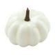 thumbnail image 3 of Pequeña calabaza artificial realista, de otoño, mini calabaza para el hogar, decoración de de otoño, decoración de fiesta de Halloween 65x9cm, 3 of 8