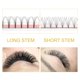 thumbnail image 5 of Extensiones de pestañas con volumen prefabricadas PRO LASHBEAUTY 5D-D-0.10-11, 5 of 7