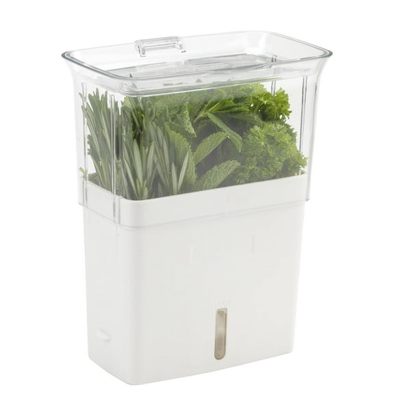 Herb Keeper Cole & Mason Fresh para refrigerador, transparente