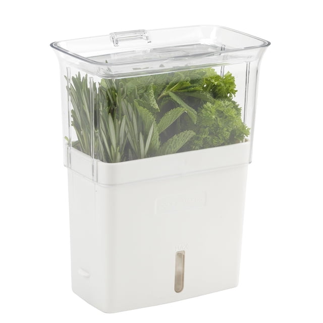 Herb Keeper Cole & Mason Fresh para refrigerador, transparente