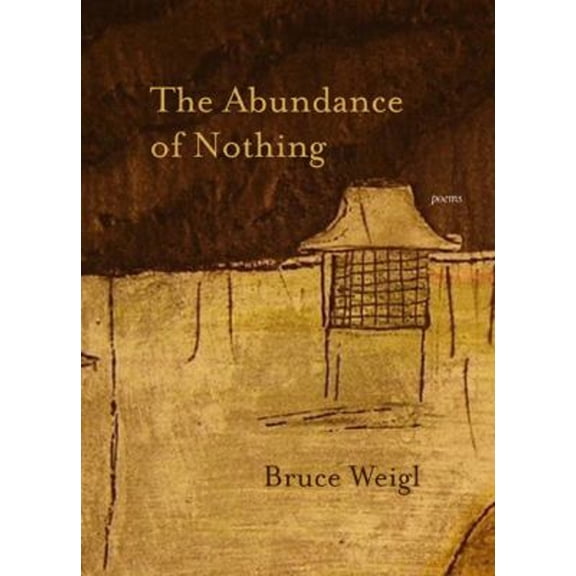 Pre-Owned The Abundance of Nothing (Paperback) 0810152231 9780810152236
