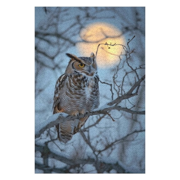 Puzzles for Adults 300 Pieces - Owl Cold Environment With Dreamy Aesthetic Funny Family Interactive for Puzzles Club Decor Or Gifts for Friends
