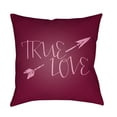 thumbnail image 1 of Surya True Love 20" x 20" Medium Square Throw Pillow HEART025-2020, 1 of 2