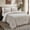 Taupe, variant on Indigo Hill Estelle Velvet 3 Piece Comforter Set, Cornflower Blue Solid Color, Soft Plush Classic Modern Chic Casual Bedding, King