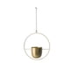 thumbnail image 1 of sweethay Maceta colgante para flores, cesta de flores multifuncional, colgador de plantas lisas para techo de Metal, para exterior, interior, Decoración del hogar Ronda Dorada, 1 of 6