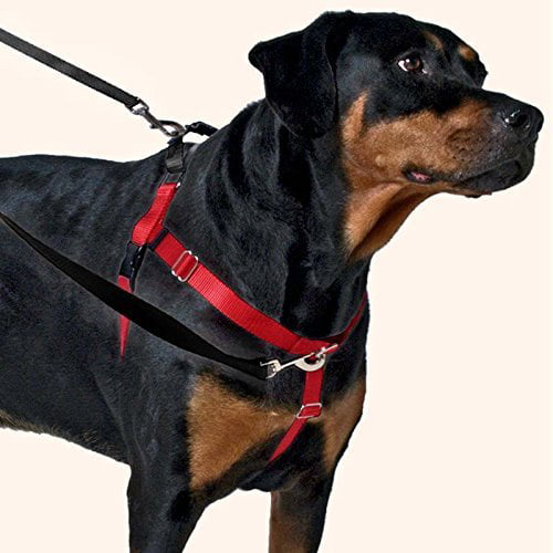 2 Hounds Design Freedom No Pull Dog Harness for Small Medium and Large Dogs Made in USA Adjustable Gentle Comfortable Control for Easy Dog Walking 