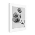 thumbnail image 4 of Trademark Fine Art Pictufy Ptelea Trifoliata Canvas Wall Art, 4 of 4