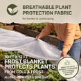 thumbnail image 4 of DeWitt 10x12 Feet N-Sulate Frost Protection & Fabric Cover for Outdoor Plants, 4 of 7