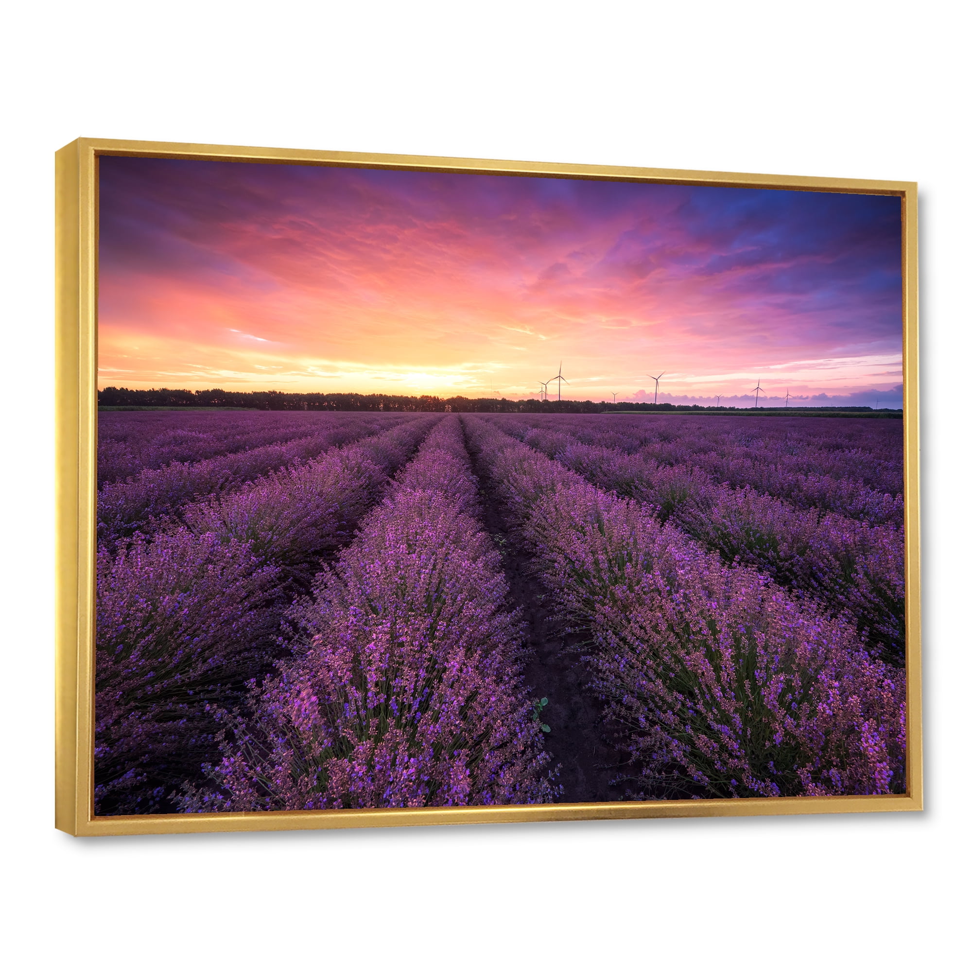Designart 'Dramatic Clouds and Sunrise Over Lavender Field XIII' Farmhouse Framed Canvas Wall Art Print