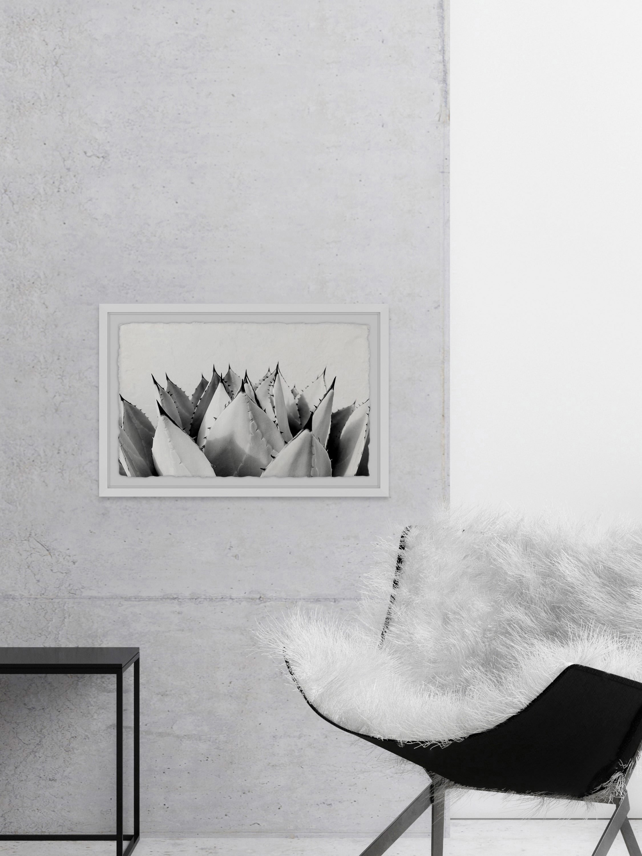 Sweet Succulents II Framed Painting Print