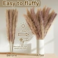 thumbnail image 3 of 17" Dried Grass,Topboutique Natural Dried Artificial Flowers Arrangements,30 Pcs Real Dried Reed Flower,Dried Grass for Vase Flower Arrangement Wedding Home Boho Decor,Brown, 3 of 8