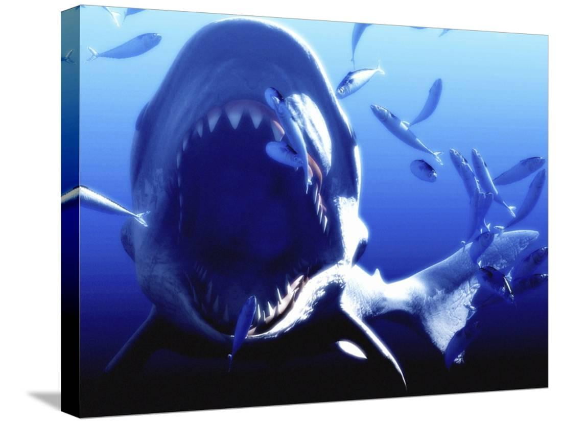 Megalodon Prehistoric Shark, Animals Scenic Stretched Canvas Wall Art ...