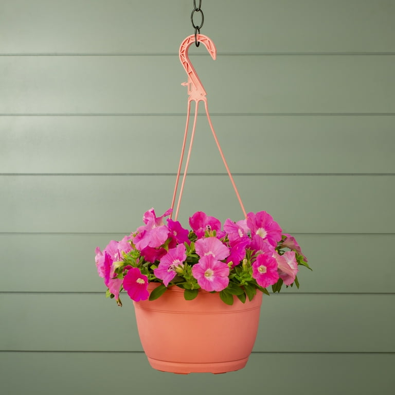 Wave 1.5gal Pink Petunia Live Annual Plant Hanging Basket Sun - Walmart.com