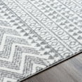 thumbnail image 5 of Livabliss Area Rugs for Living Room, 5x7 Cesar Global Gray Rug, Bedroom Dining Room Home Decor Stain Resistant Carpet (5'3" x 7'), 5 of 8