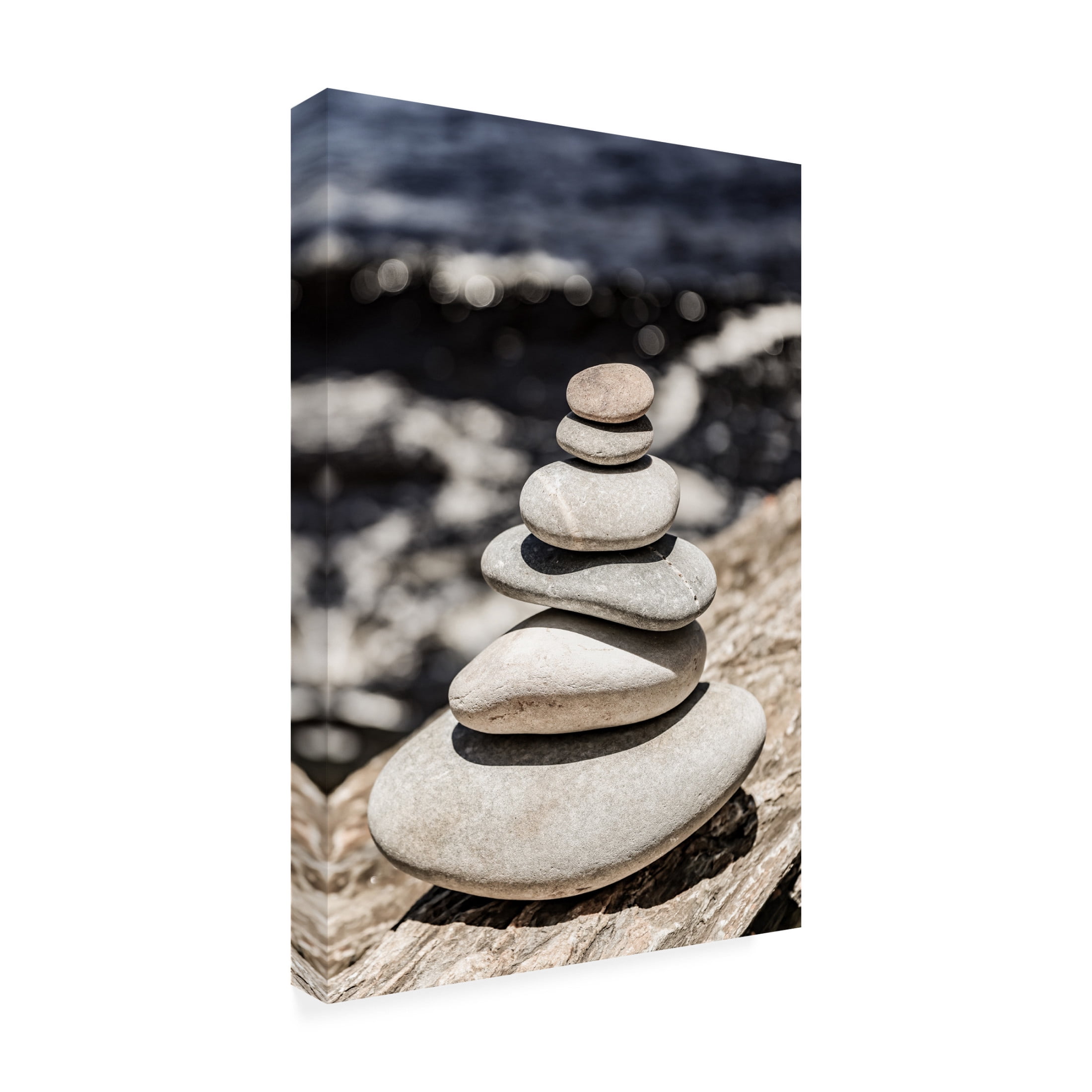 Trademark Fine Art Shot by Clint Balance Canvas Wall Art