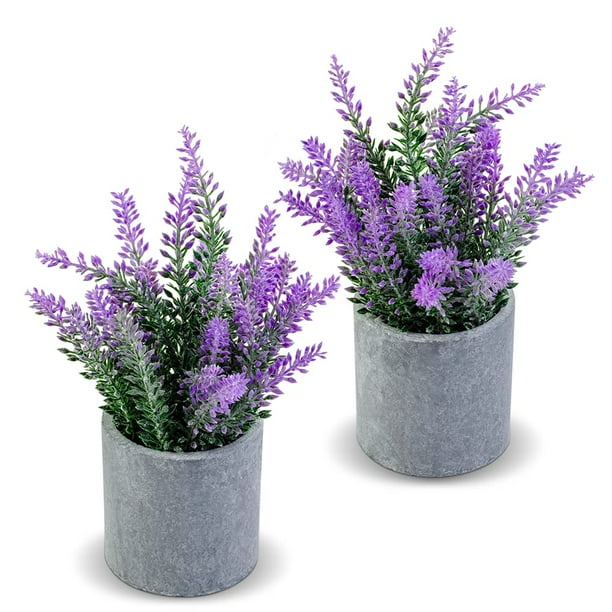CADNLY - Planta de Lavanda Artificial en macetas, decoración de Flores Artificiales de Lavanda sintética, Plantas de Lavanda Falsas en Maceta, decoración M CADNLY NA