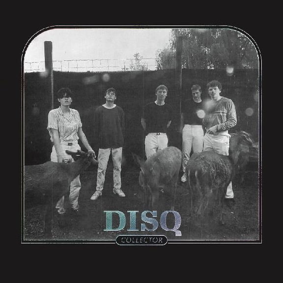 Disq - Collector - Music & Performance - CD