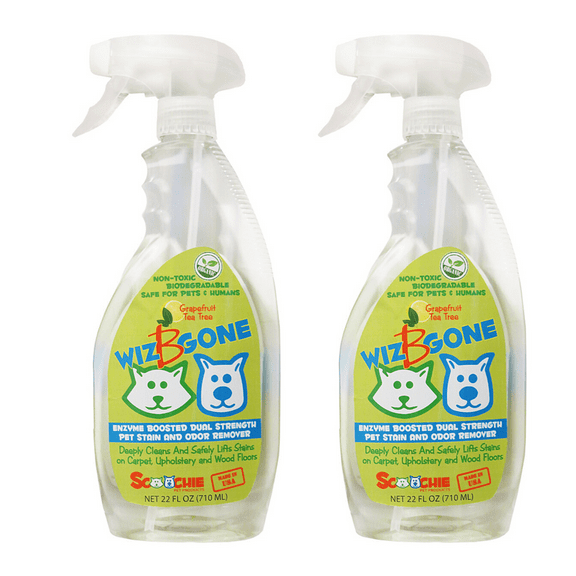 WIZ B GONE STAIN AND ODOR REMOVER FOR CARPET AND UPHOLSTERY 22 OUNCE - PACK OF 2