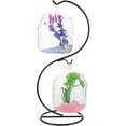 thumbnail image 1 of Shisuyan 1 Ensemble de Bassin à Poissons en Verre Suspendu de Bureau Mini Table Aquarium Bol à Poissons en Verre Betta, 1 of 8