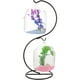 thumbnail image 1 of 1 juego de escritorio colgante de vidrio pescado mini mesa de acuario de acuario Betta Fish Bowl, 1 of 4