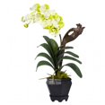 thumbnail image 1 of Vanda with Black Hexagon Vase Silk Arrangement, 1 of 1
