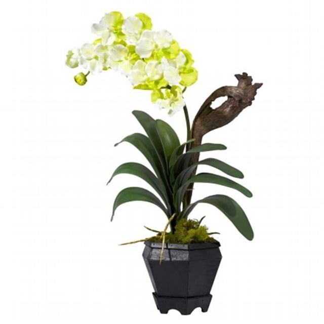 Vanda avec Hexagone Noir Vase Soie Arrangement