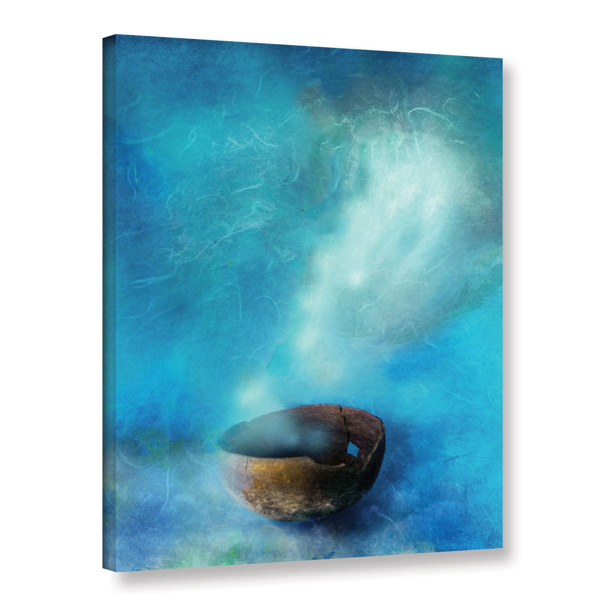 ArtWall Elena Ray "Broken Bowl" Gallery-wrapped Canvas