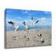 thumbnail image 2 of Póster de lienzo de un grupo de gaviotas jugando en la playa, decoración de dormitorio, paisaje deportivo, decoración de oficina, regalo, estilo marco, 12 x 18 pulgadas (30 x 45 cm), 2 of 8