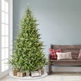 thumbnail image 4 of 7.5' Pre-Lit Miracle Shape Alberta Spruce Artificial Christmas Tree, 4 of 4