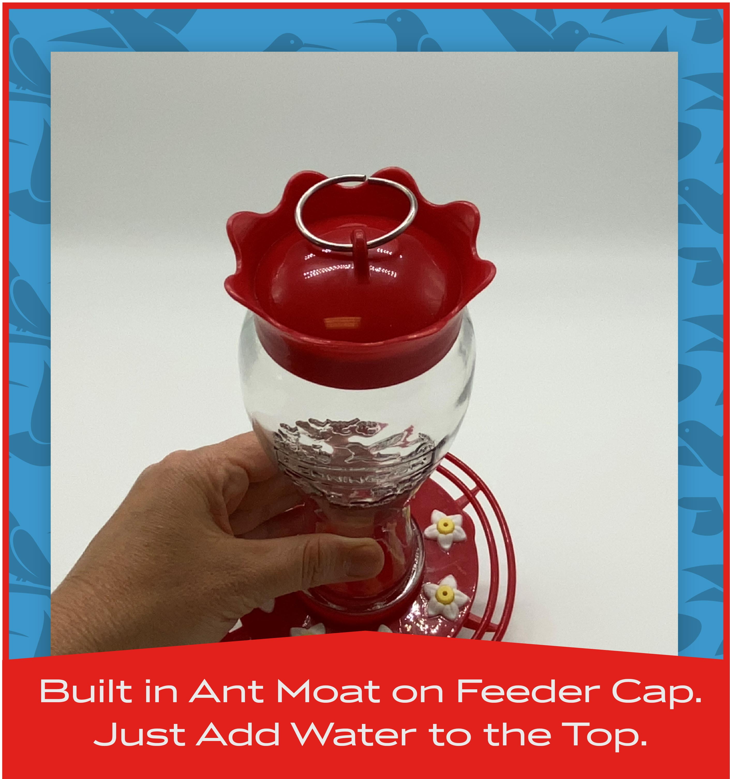 Pennington 32 Oz Decorative Glass Hummingbird Feeder Shelly Lighting