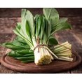 thumbnail image 1 of SHIQI-Ramsons Wild Garlic Seeds Herbs Perennial Plant for Planting Non GMO 10 Seeds, 1 of 4